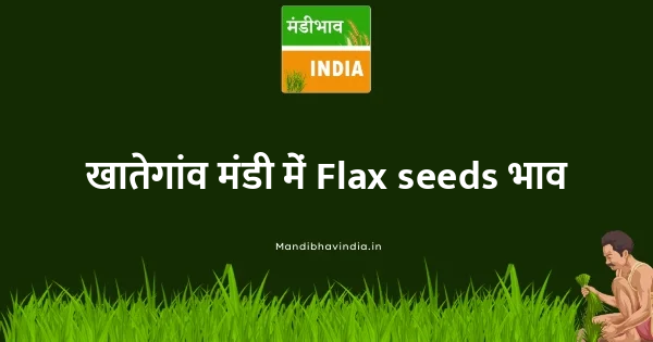 Flax seeds भाव